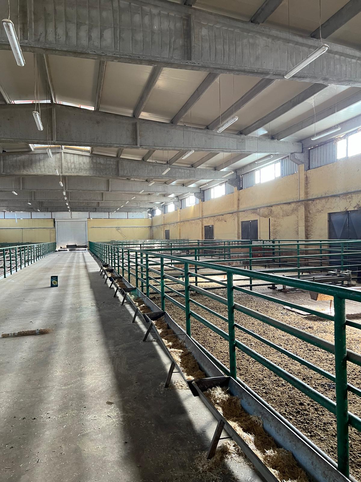YENİ ŞEHİR HANTEPEDE ''TILHAMDA'' VİLA FİYATINA SATILIK ÇİFTLİK